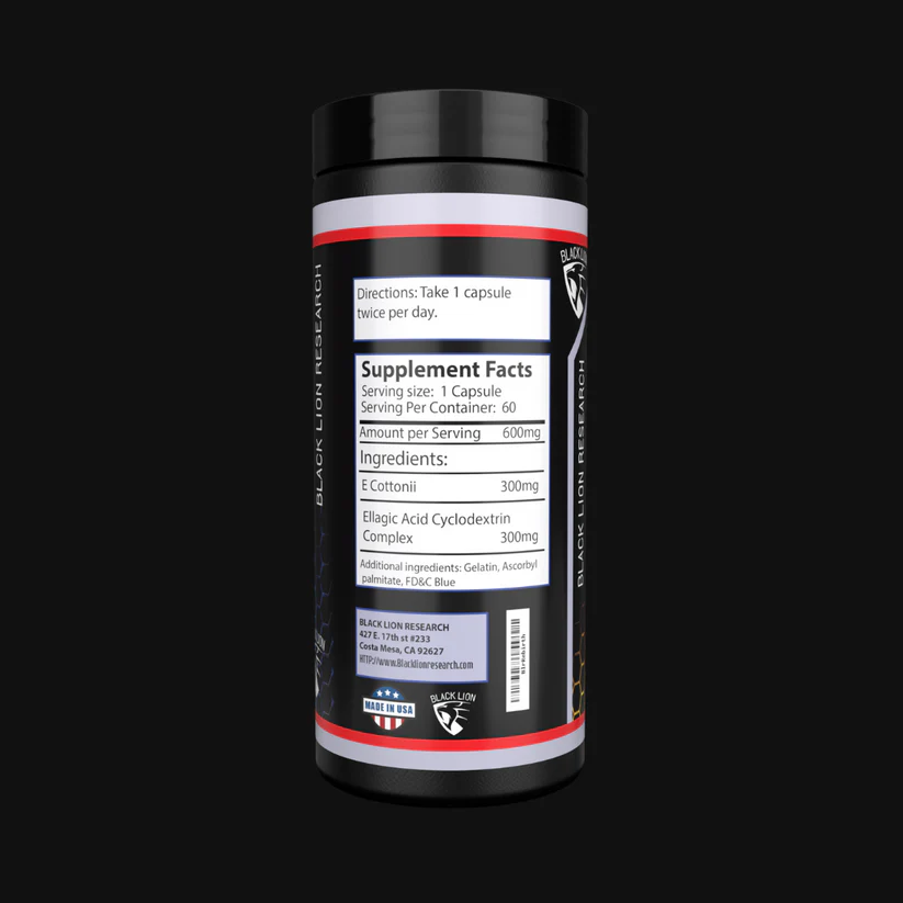 Black Lion Research Rebirth - Image 2